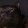 je suis's profile picture