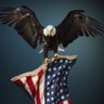 Charles Dunn's profile picture