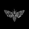 𝕿𝖍𝖊 𝕯𝖆𝖒𝖓𝖉𝖊𝖘𝖙 𝕮𝖗𝖊𝖆𝖙𝖚𝖗𝖊.🫀's profile picture