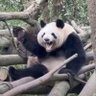 逍遥 的头像