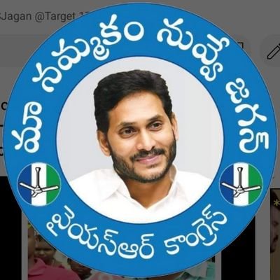 2024_YSRCParty's profile picture