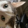 Aminok profil fotoğrafı