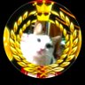 Profilbild von ももりん&ハピ&フク😼🐶