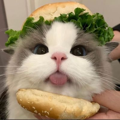 rawityimz's profile picture