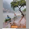p.r profil fotoğrafı