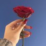 Фото профиля 🌹ف
