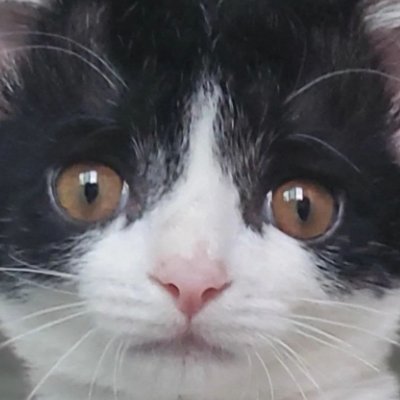 고양희's profile picture