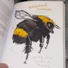 Фото профиля Borealis (Eternal Bee Arc 🐝)