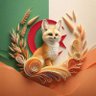 Khoudir Khoudir's profile picture
