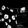 wsgsora13's profile picture