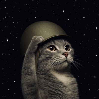 Beau's profile picture