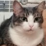 Bjanka's profile picture