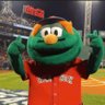 The Boston Guy's profile picture