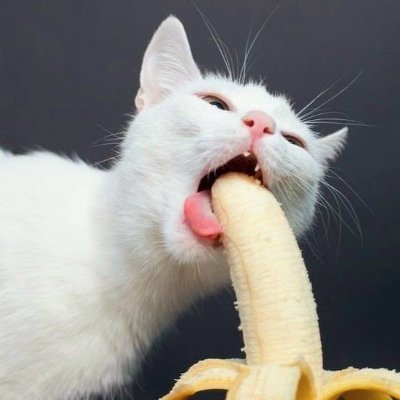 น้องรถเมล์ เยยันเช้า's profile picture