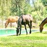 Фото профиля Fernando