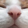 Bumba 的头像