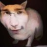 TommyLeePau profil fotoğrafı