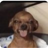 Maria's profile picture