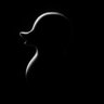 The Odd Duck Crypto 的头像