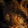 Siham's profile picture