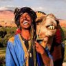كنغر 的头像