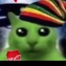 🪂vitor🇵🇸's profile picture