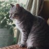 Zzz's profile picture