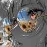 Kuma⏳'s profile picture