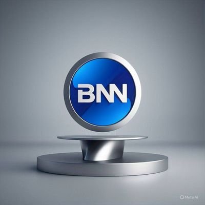 Bermuda News Network's profile picture