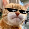 0xGαяєєв profil fotoğrafı