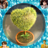 まっきー🌱🎤🍎 🩵エイエイオー's profile picture