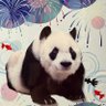 祥旦シャンタンwith K K 的头像