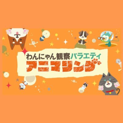animaling__tbs's profile picture