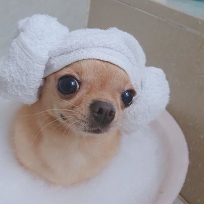 Dongsu_ow's profile picture