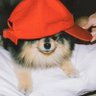 yuuumi.thv profil fotoğrafı