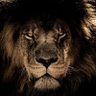 Fearcan's profile picture