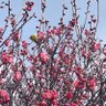 Фото профиля kazuhiro matsukura