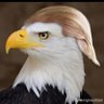 Proud American Patriot ❤️🙏🏼 🇺🇸 MAGA's profile picture