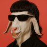Profilbild von Explorer