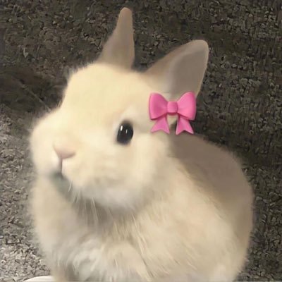 _xpmqx_'s profile picture