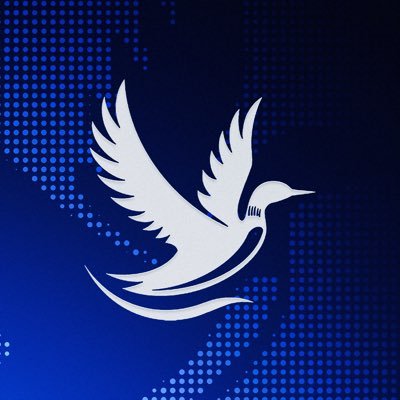 SerenityDAO's profile picture