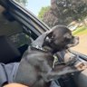 John Doe's profile picture