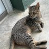 O profil fotoğrafı
