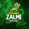 Profilbild von Zalmi Lover