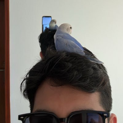 66ari8's profile picture