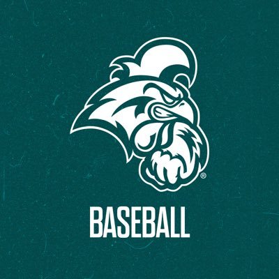 CoastalBaseball's profile picture
