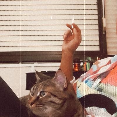 muhacir kızı's profile picture