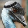 Фото профиля Московский стратегический иуда ✡️