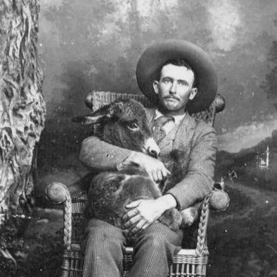 🌾 Honky Tonk Presidente 🌾's profile picture