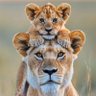 Фото профиля Mr. Arthur©